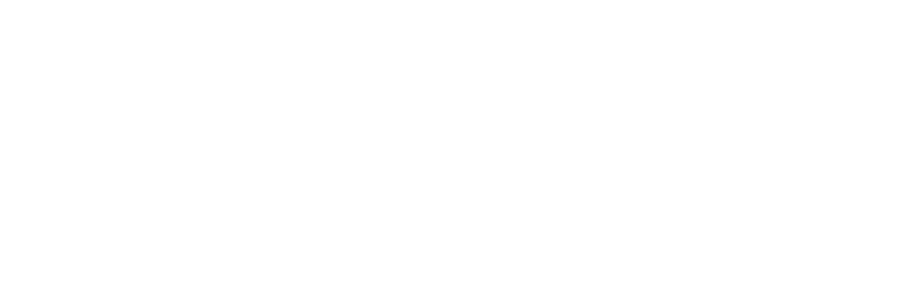 Logo Twyd Blanc